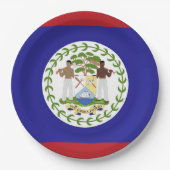 Belize vlag papieren bordje (Voorkant)