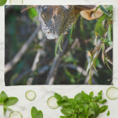 Belize Wildlife: fotografie van Oranje leguaanhage Theedoek (Gevouwen)