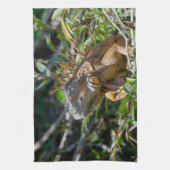 Belize Wildlife: fotografie van Oranje leguaanhage Theedoek (Verticaal)