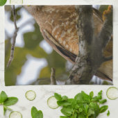 Belize Wildlife: Roadside Hawk Fotografie Theedoek (Gevouwen)