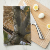 Belize Wildlife: Roadside Hawk Fotografie Theedoek (Quarter Fold)