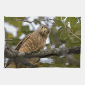Belize Wildlife: Roadside Hawk Fotografie Theedoek (Horizontaal)