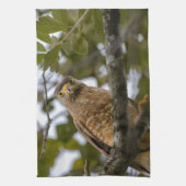 Belize Wildlife: Roadside Hawk Fotografie Theedoek (Verticaal)