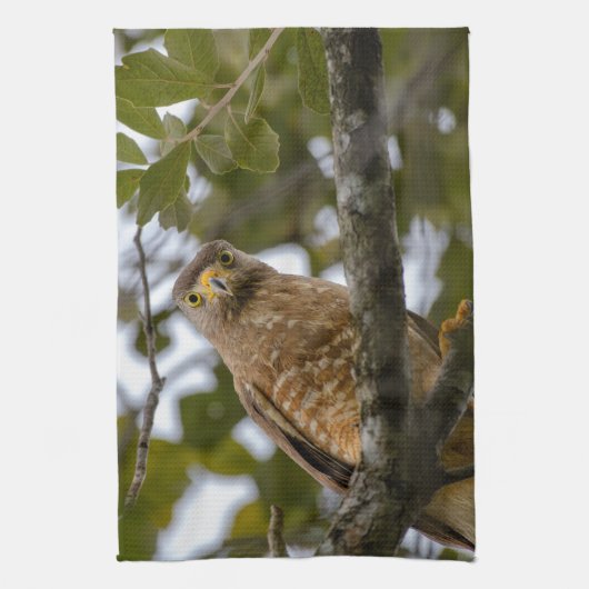 Belize Wildlife: Roadside Hawk Fotografie Theedoek (Verticaal)