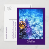 Belize Zee Aangepast Briefkaart voor ventilator (Voorkant / Achterkant)