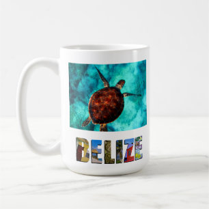 Belize Zee Turtle Blue Ocean Beach Travel Photo Koffiemok