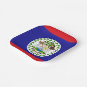 Belizeaanse vlag papieren bordje (Gebogen)