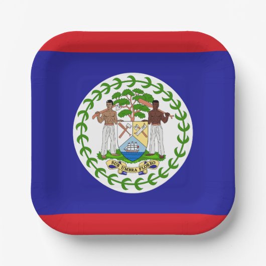 Belizeaanse vlag papieren bordje (Voorkant)