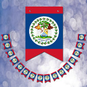 Belizeaanse vlag & partij Belize banners/bruiloft Vlaggetjes