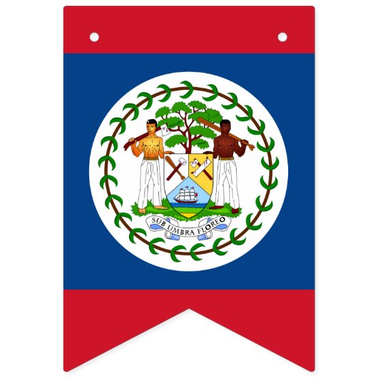 Belizeaanse vlag & partij Belize banners/bruiloft Vlaggetjes (Tweede vlag)