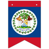 Belizeaanse vlag & partij Belize banners/bruiloft Vlaggetjes (Eerste vlag)