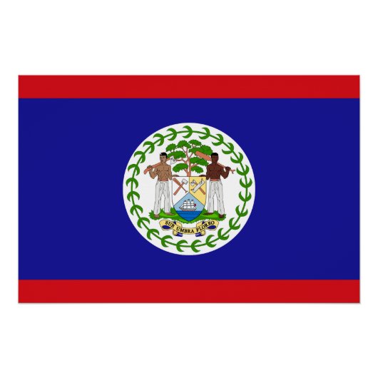 Belizeaanse vlag perfect poster (Voorkant)