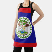 Belizeaanse vlag schort (Insitu)