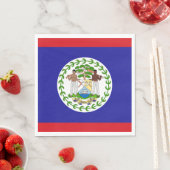 Belizeaanse vlag servet (Insitu)