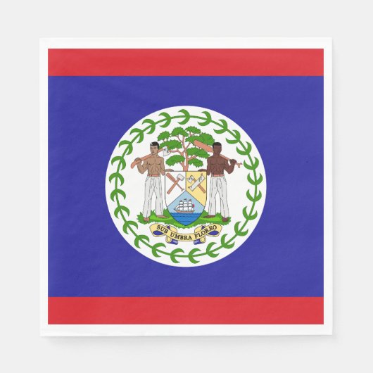 Belizeaanse vlag servet (Voorkant)