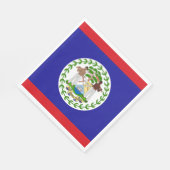Belizeaanse vlag servet (Hoek)