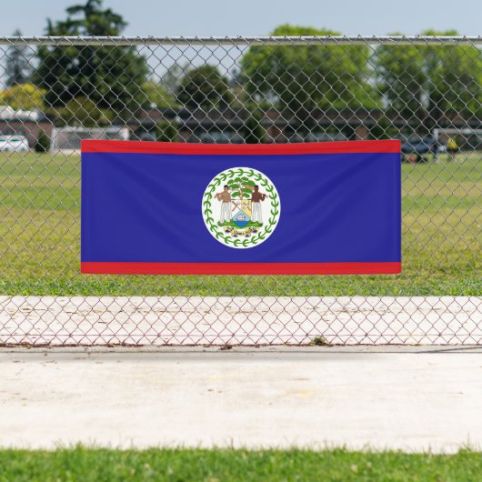 Belizeaanse vlag spandoek (Insitu)