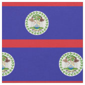 Belizeaanse vlag stof (Close Up)