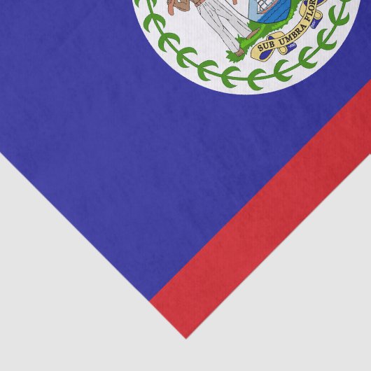 Belizeaanse vlag tissuepapier (Detail)