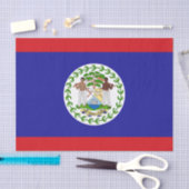 Belizeaanse vlag tissuepapier (Craft)