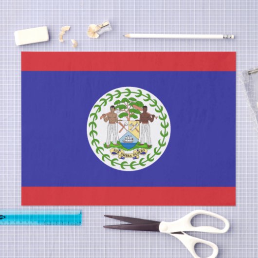 Belizeaanse vlag tissuepapier (Craft)