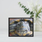 Belka sluit af briefkaart (Staand voorkant)