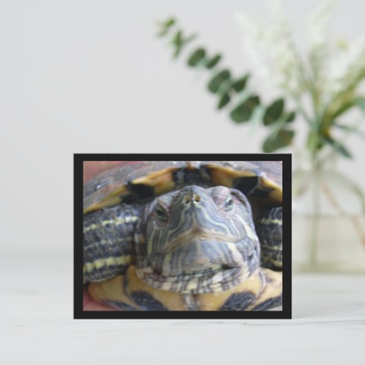 Belka sluit af briefkaart (Staand voorkant)