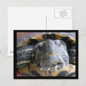 Belka sluit af briefkaart (Voorkant / Achterkant)