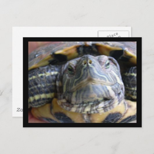 Belka sluit af briefkaart (Voorkant / Achterkant)