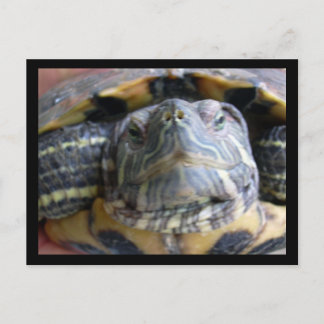 Belka sluit af briefkaart