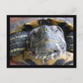 Belka sluit af briefkaart (Voorkant)