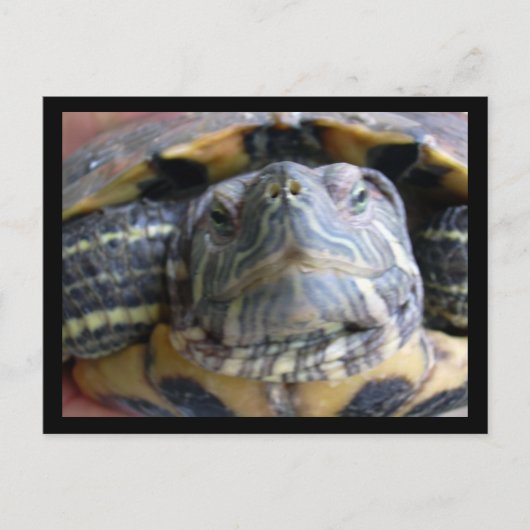 Belka sluit af briefkaart (Voorkant)