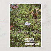 Belknap Mushroom Briefkaart met Verbindingsquote (Voorkant)