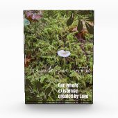 Belknap Mushroom met Quote Fotoblokken (Voorkant)