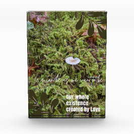 Belknap Mushroom met Quote Fotoblokken