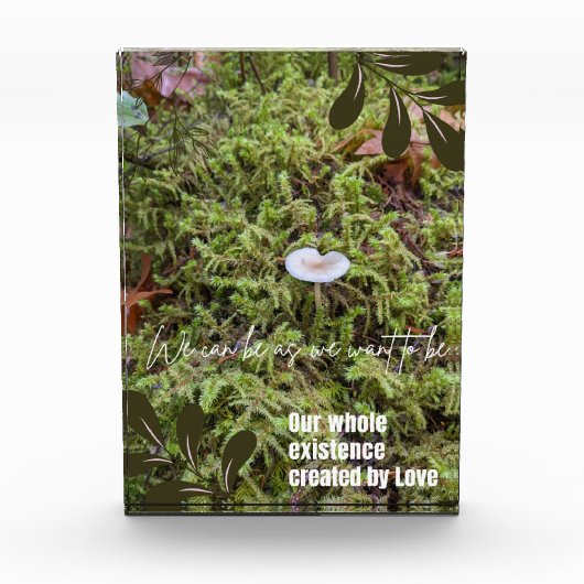 Belknap Mushroom met Quote Fotoblokken (Voorkant)