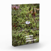 Belknap Mushroom met Quote Fotoblokken (Links)