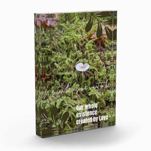 Belknap Mushroom met Quote Fotoblokken (Links)