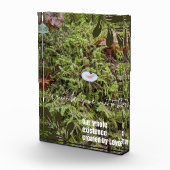 Belknap Mushroom met Quote Fotoblokken (Rechts)