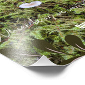 Belknap Mushroom met Quote - Frameable Foto Afdruk (Hoek)