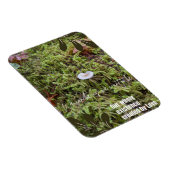 Belknap Mushroom met Quote Magneet (Rechterzijde)