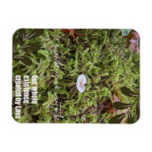 Belknap Mushroom met Quote Magneet (Horizontaal)