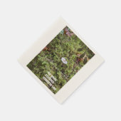 Belknap Mushroom met Quote Servet (Hoek)