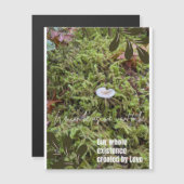 Belknap Mushroom met Verbindingsofferte Magneet (Voorkant / Achterkant)