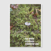 Belknap Mushroom met Verbindingsofferte Magneet (Voorkant)