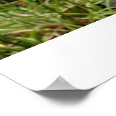 Bell en Garden, Ohio Poster (Hoek)