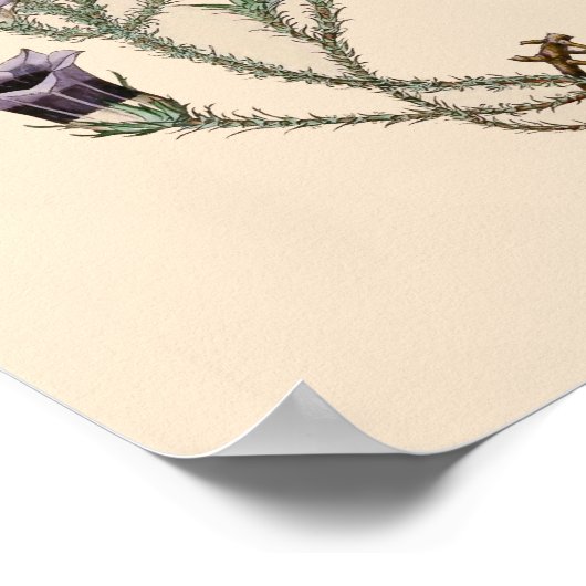 Bell Flower Botanical Poster (Hoek)