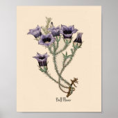 Bell Flower Botanical Poster (Voorkant)