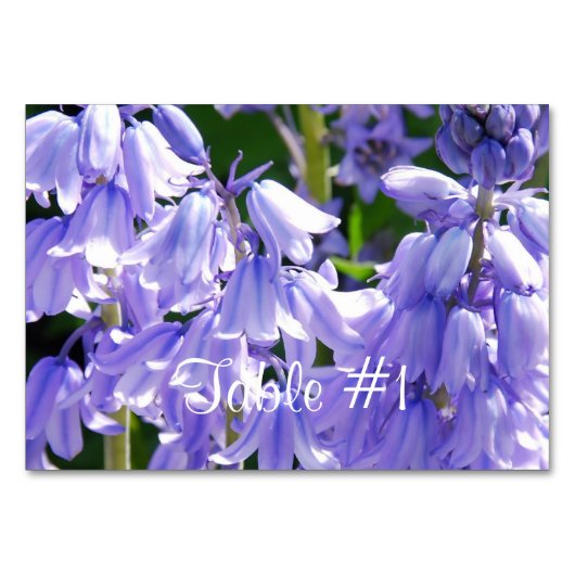  Bell Flowers Kaart (Voorkant)