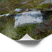 Bell Island Newfoundland Poster (Hoek)